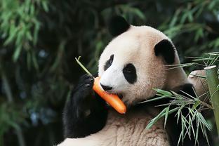 沙特建国日！C罗手捧雄鹰出镜太帅了！